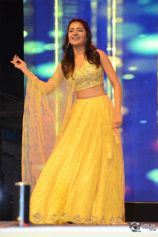 Krishnarjuna-Yuddham-Pre-Release-Function